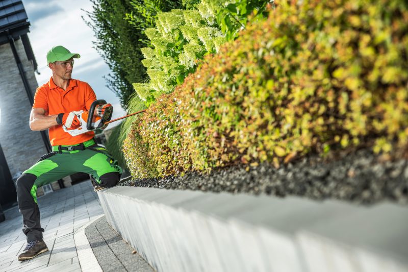 Shrub Trimming Service
