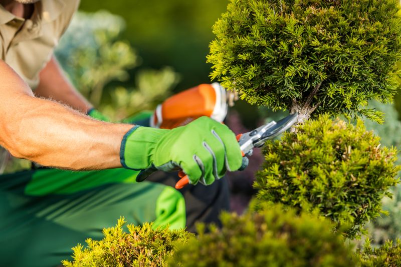 Shrub Service
