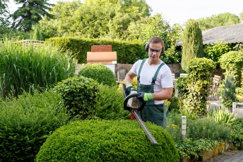 Bush Trimming Service in Honolulu, HI