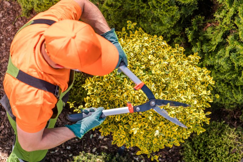 Shrub Service
