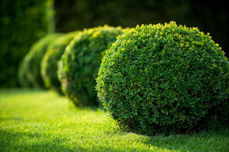 Topiary Shaping in Honolulu, HI